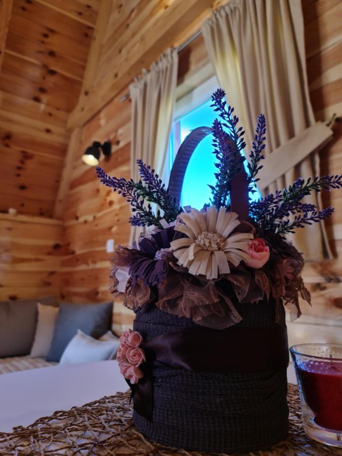 Chalet Danilo